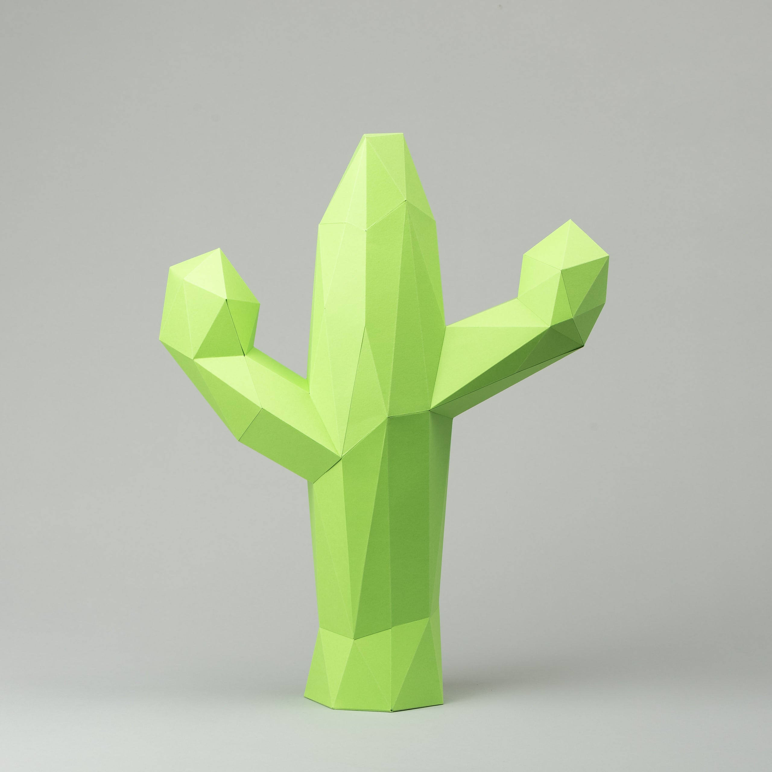 PAPER CLIPS – Cactus Paper Company
